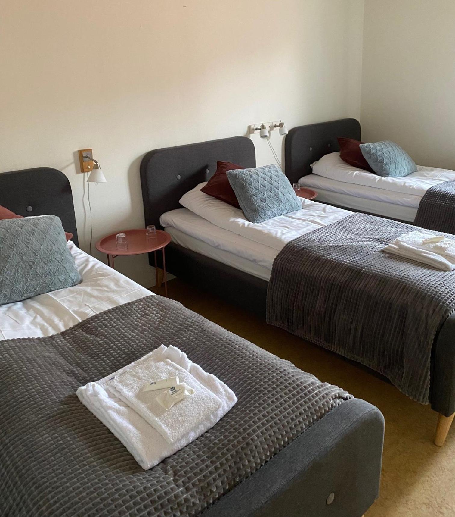 Snoea Bruk Hotell Och Konferens Dala-Jarna Kültér fotó