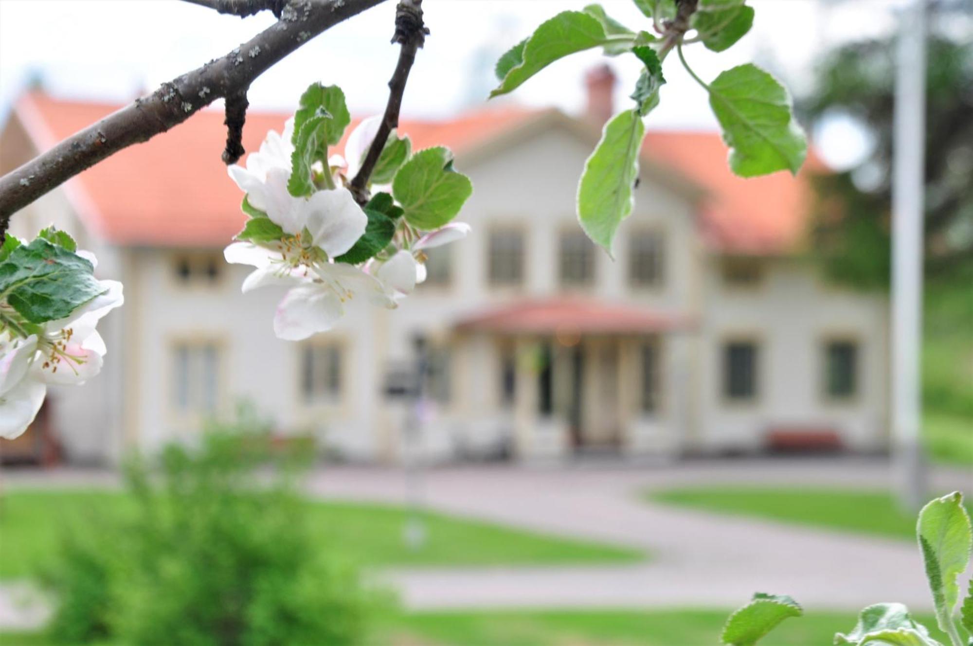 Snoea Bruk Hotell Och Konferens Dala-Jarna Kültér fotó